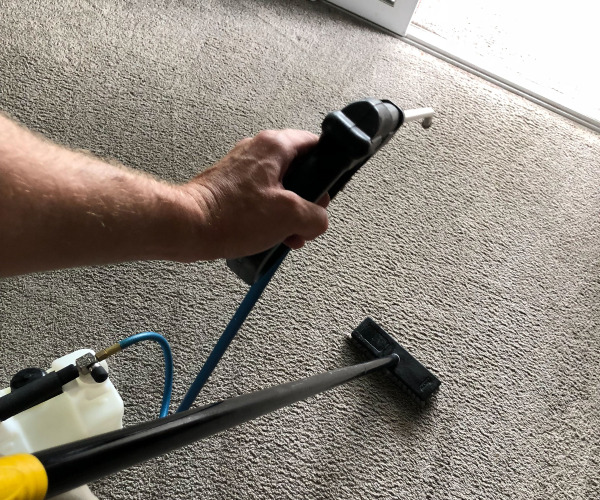 Scrubbing a stain in the bedroom carpet